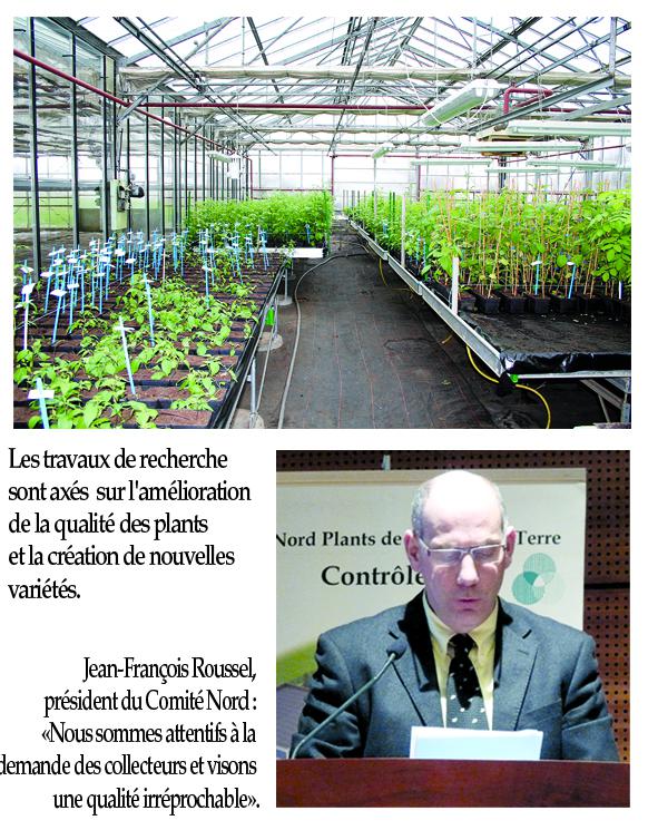Plants de pomme de terre : l'innovation permanente | Action agricole Picarde