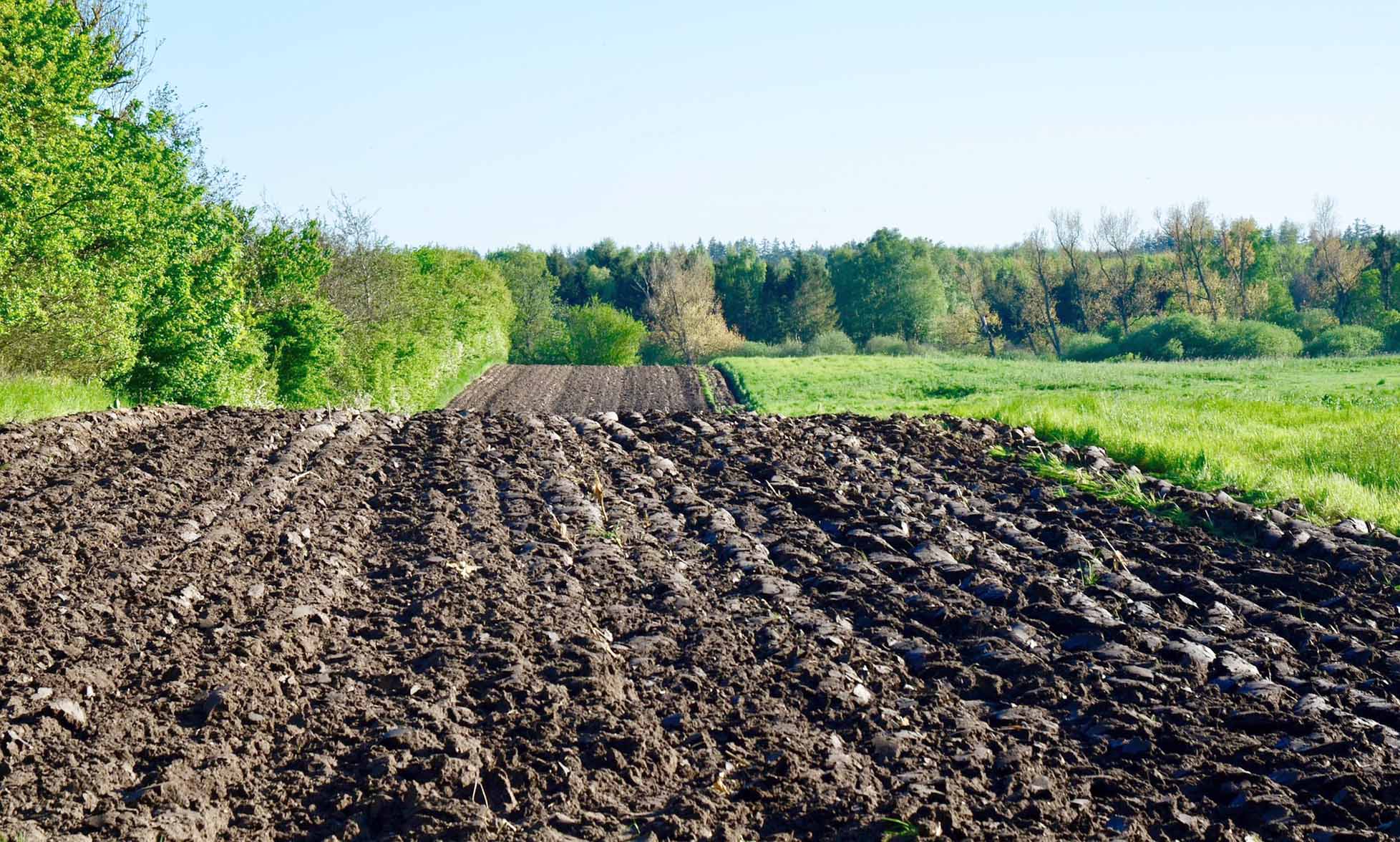 En Hauts-de-France, 2,58 % de dégradation des surfaces en prairies permanentes par rapport au ratio de référence 2012 sont constatés. De fait, tout retournement devra faire l’objet d’une autorisation de la DDTM. 