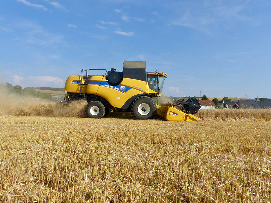 Selon le Cerfrance Picardie Nord de Seine, la marge brute par hectare pour le blé pourrait se situer à 1 390 € en 2023.