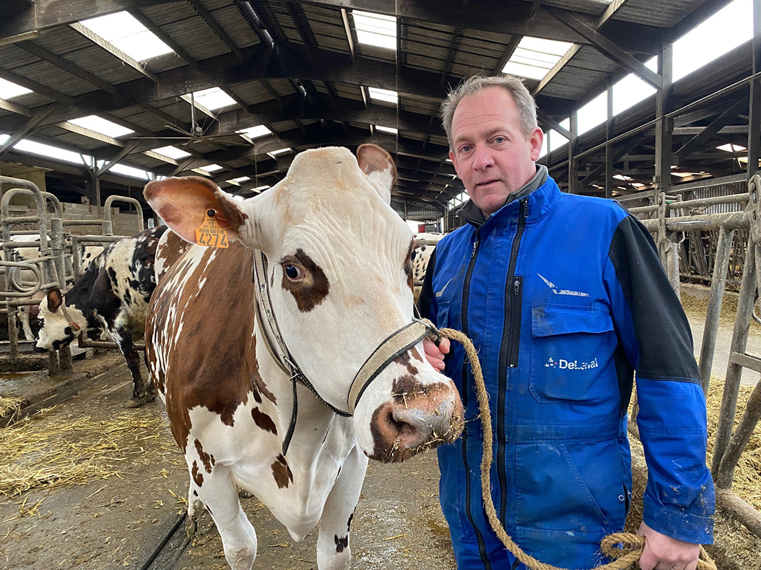 Stéphane Leullier et sa vache Noëlle sont sur le départ du concours général  agricole du Sia. 