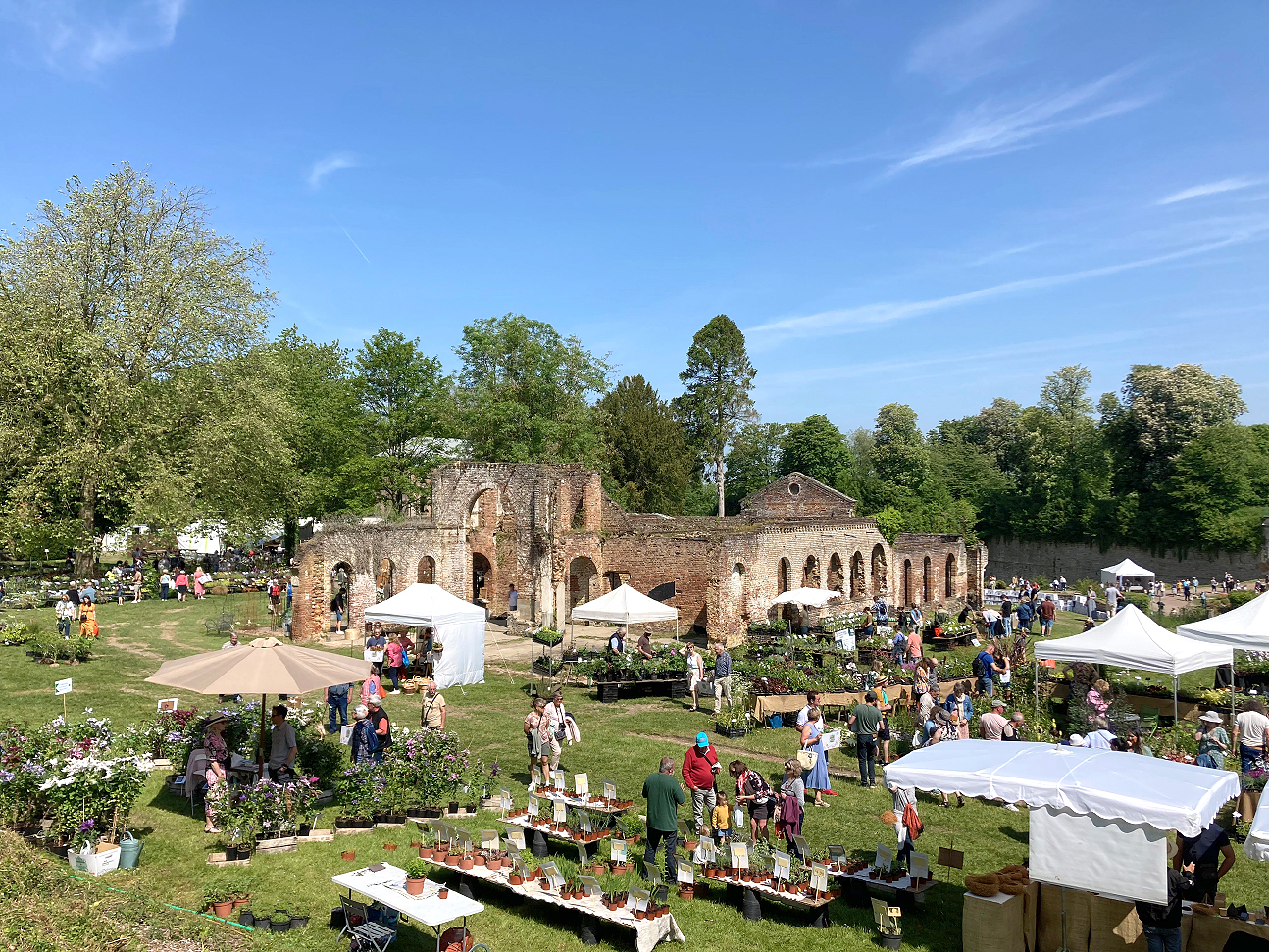 Les Journées doullennaises des Jardins d’Agrément réunissent principalement, une soixantaine de pépiniéristes, la plupart collectionneurs, qui exposent une grande sélection de végétaux. 