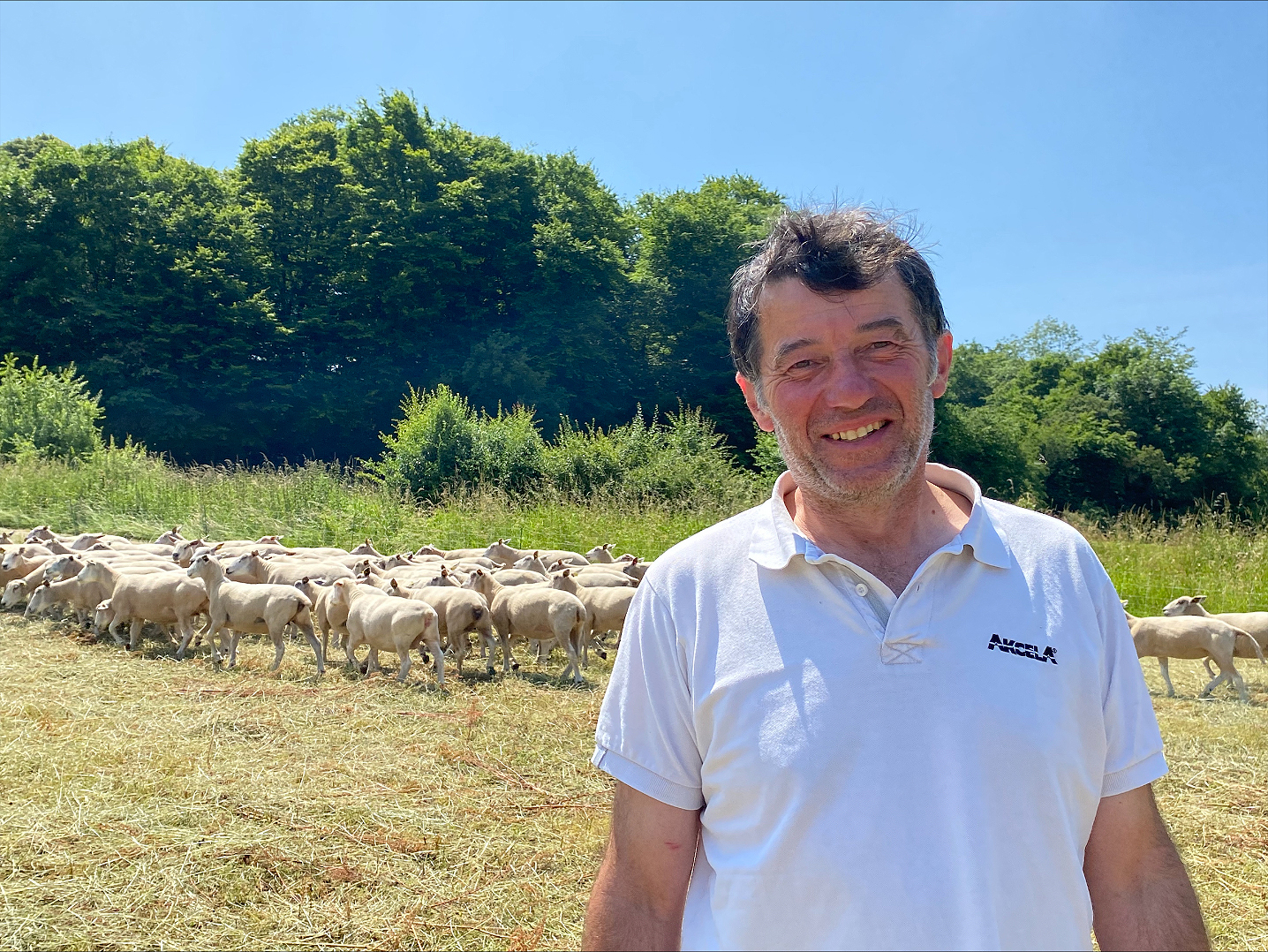 L’Association des éleveurs de moutons Boulonnais a vu le jour en 1984. Olivier Desmarest perpétue l’élevage de cette race depuis plusieurs années. 