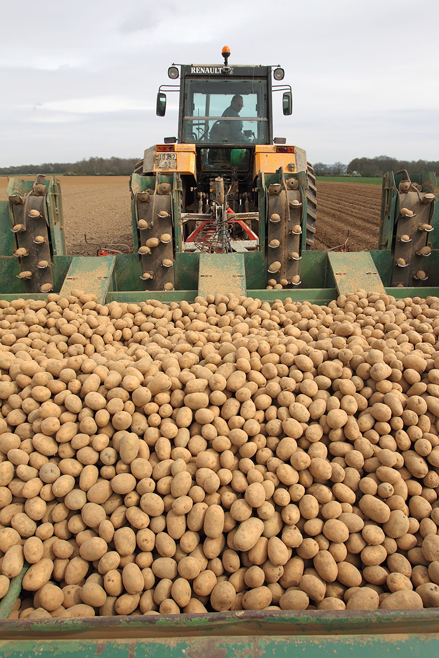 Sur l’ensemble des pays européens producteurs de plants de pomme de terre, ce sont ainsi au moins 2 000 ha en 2022  et 6 600 ha en 2023 qui ont été perdus. 