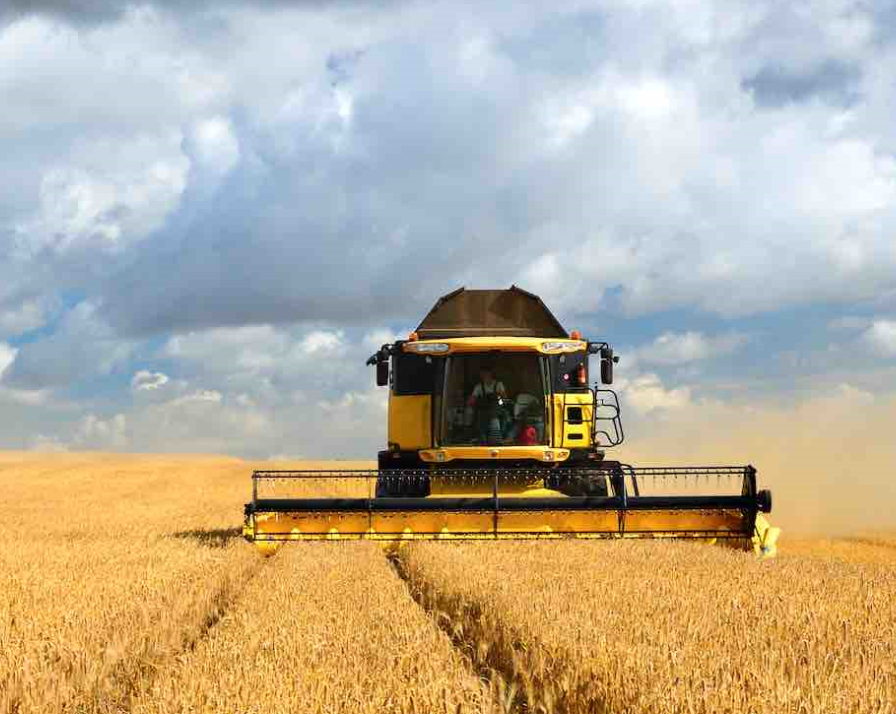 céréales blé rendements moisson