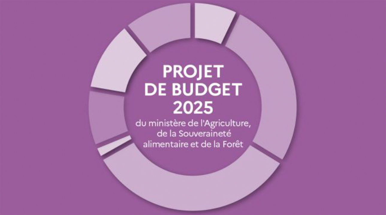 Le projet de loi de finances pour 2025 reprend en grande partie les mesures décidées au cours du premier semestre 2024, sous le gouvernement de Gabriel Atal  et faisant suite aux manifestations des agriculteurs. 