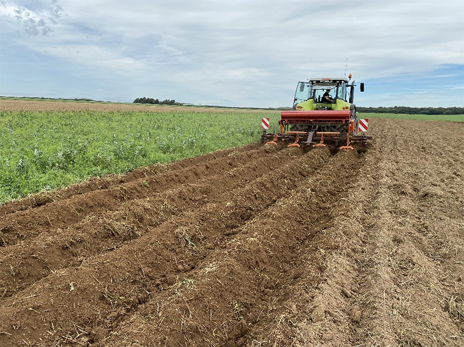 Réalisation des pré-buttes à l’automne avec le matériel mis à disposition par le lycée agricole de Tilloy-lès-Mofflaines dans le cadre de l’essai pré-buttage du GIEE.