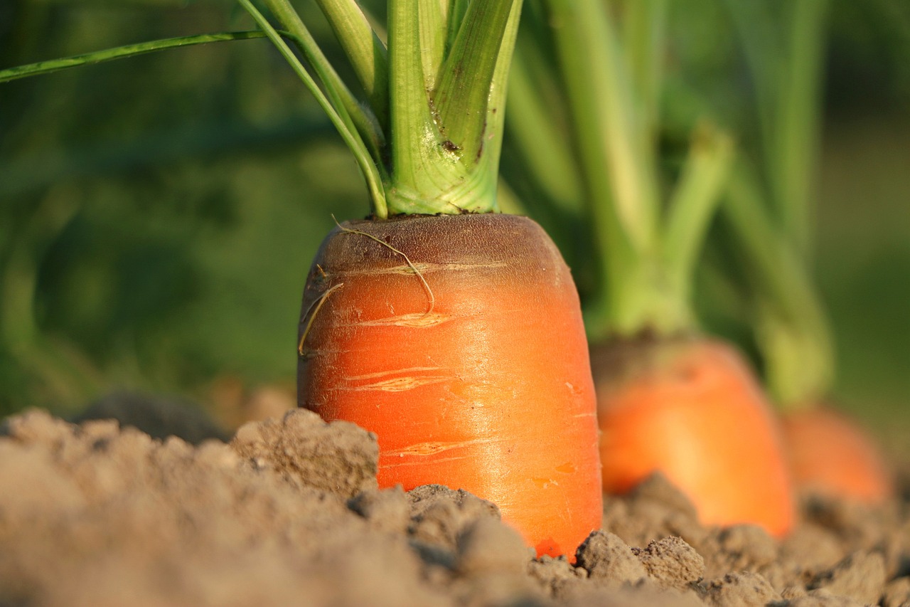 Parmi les revendications figure le retrait des produits phytosanitaires.