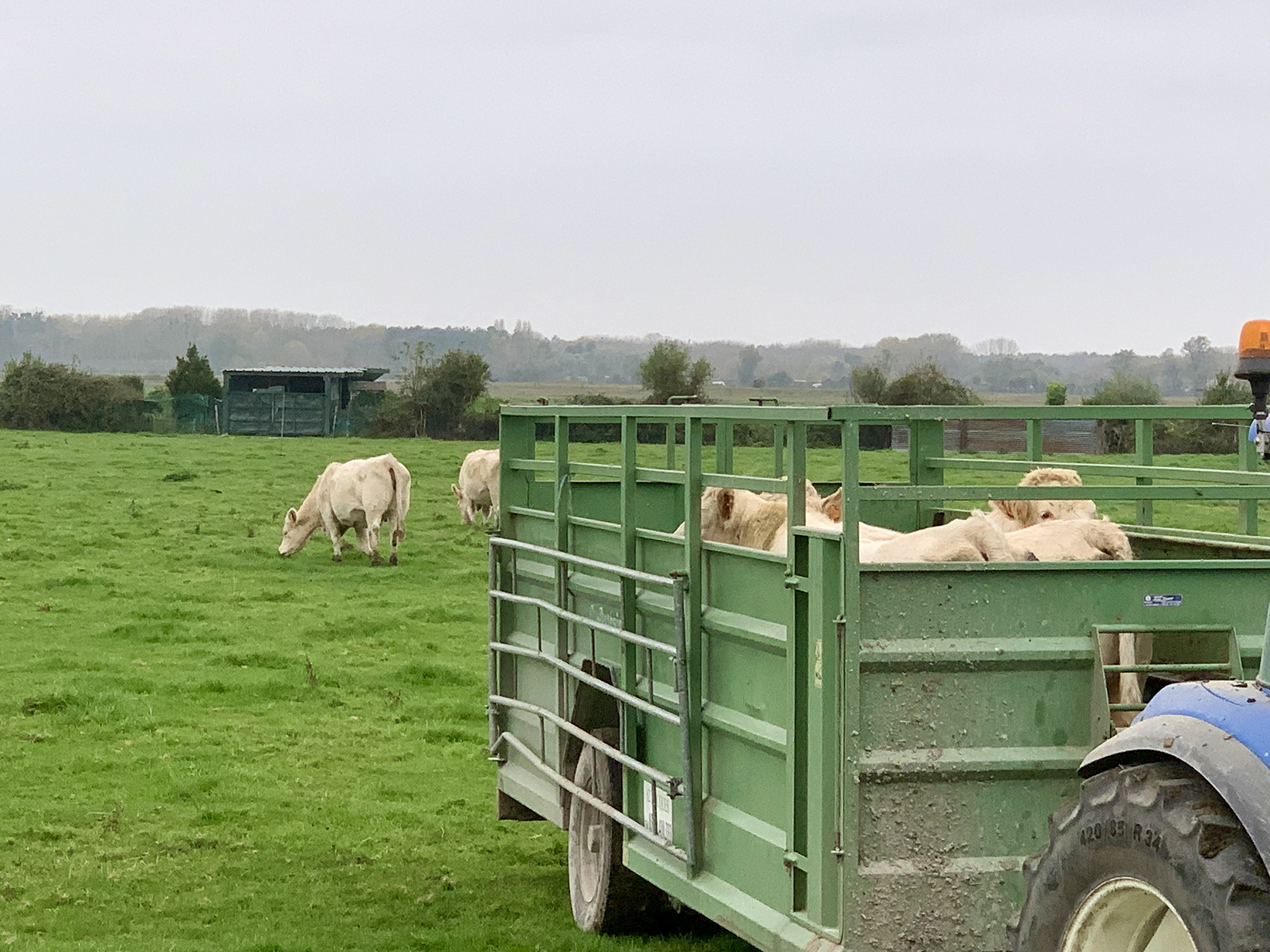 L’utilisation agricole durable et performante des zones humides permet de lutter contre l’abandon des terres,  leur enfrichement et préserve leurs fonctionnalités. 