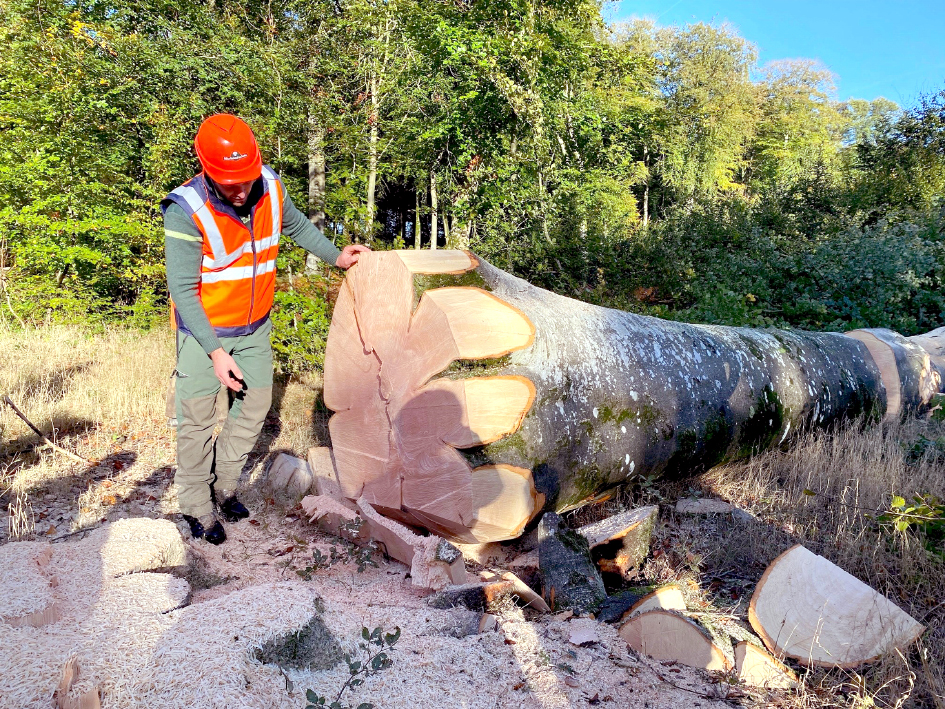 Bûcheron de métier, Jérôme Cornu a accueilli du public sur un chantier d’abattage sur la parcelle 281 de la forêt domaniale  de Crécy-en-Ponthieu. 