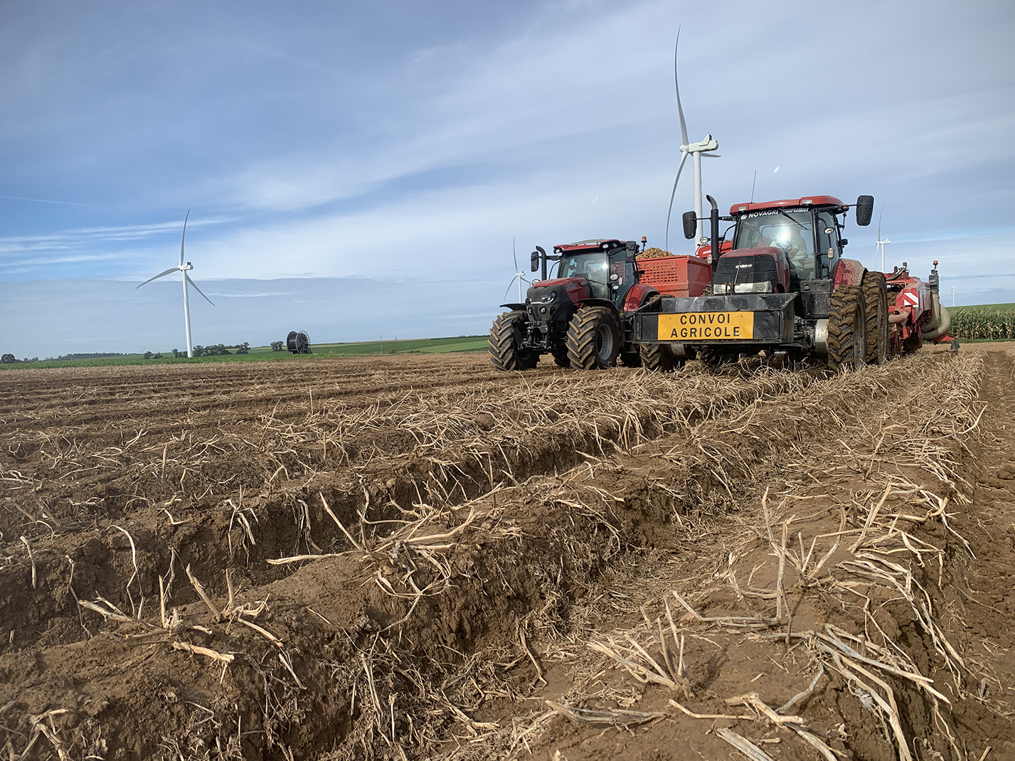 200 000 hectares pourraient être emblavés en 2030.