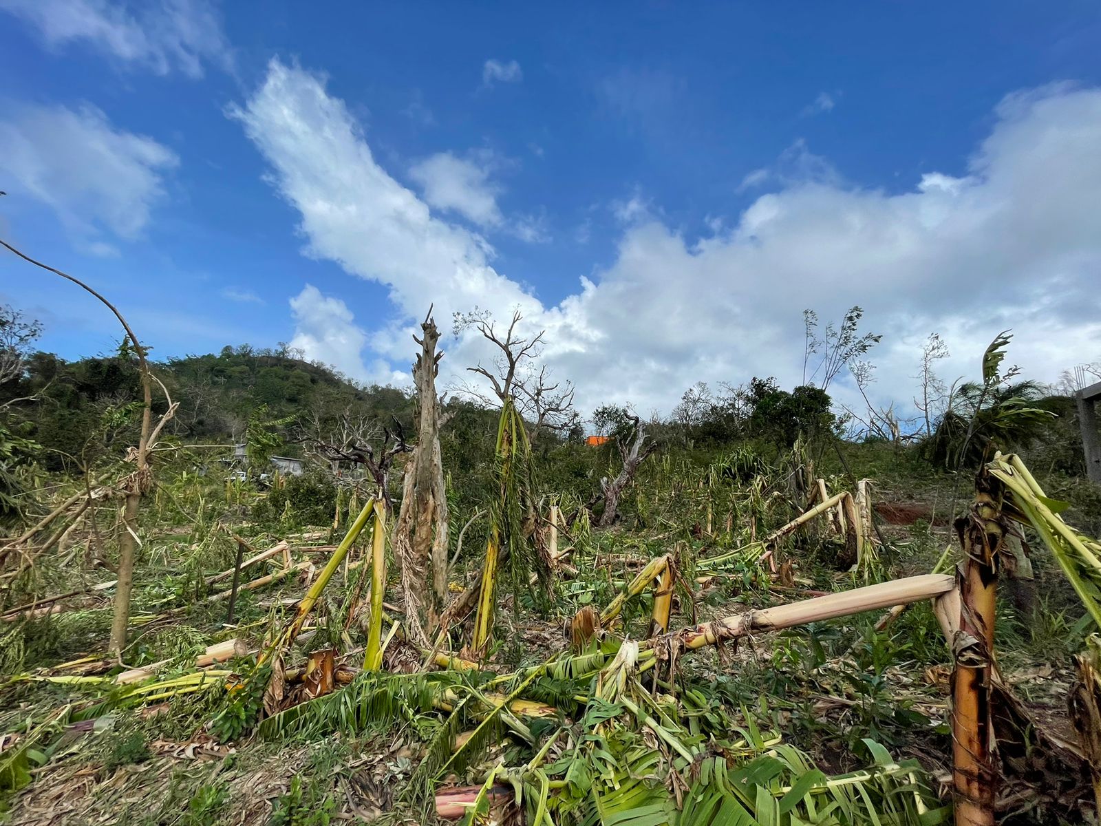 Mayotte élections chambre cyclone