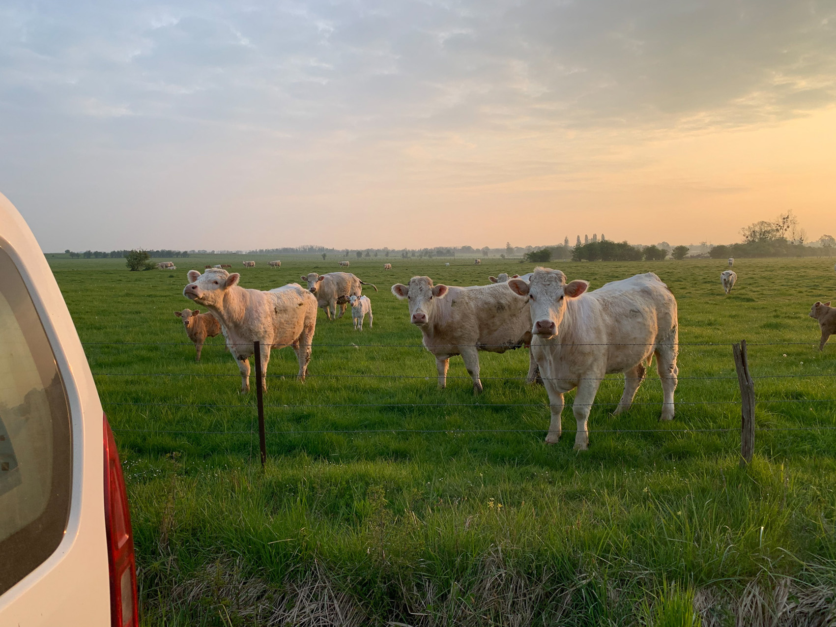 «La reproduction, c’est un ensemble de choses à considérer, dont l’alimentation, si l’on veut mettre toutes les chances de son côté», assure-t-on chez Gènes Diffusion.