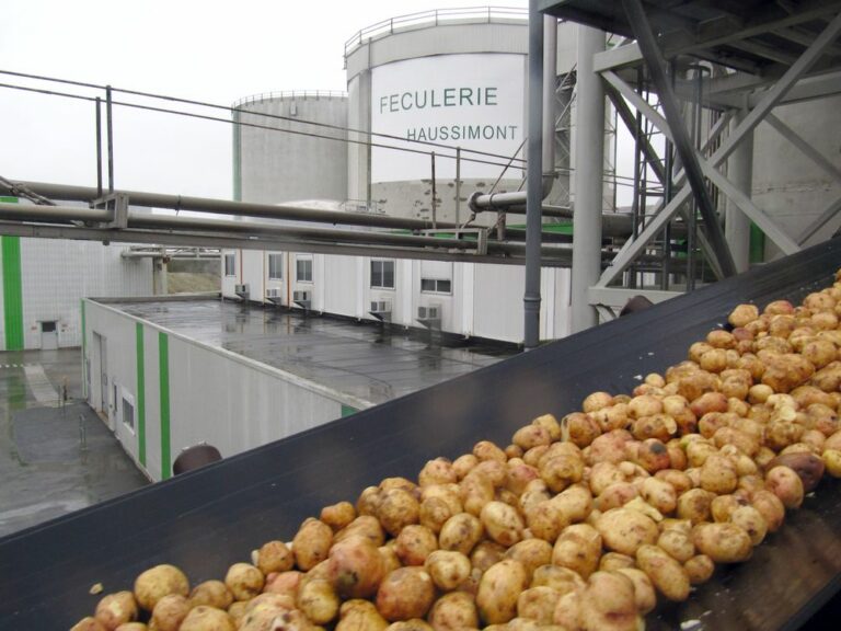 Haussimont fécule pommes de terre Tereos coopérative