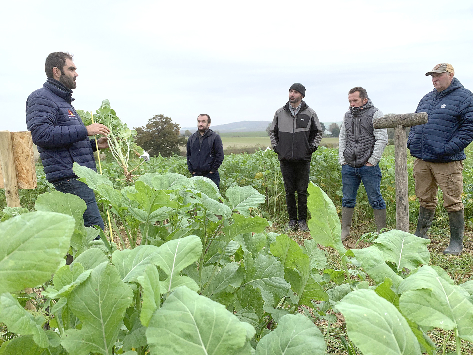 Le Groupe Carré dispose de parcelles d’essais de couverts. «10 kg de couvert semés, c’est 5 tonnes de matière sèche à la clé», rappelle David Boucher, coach en agronomie. 