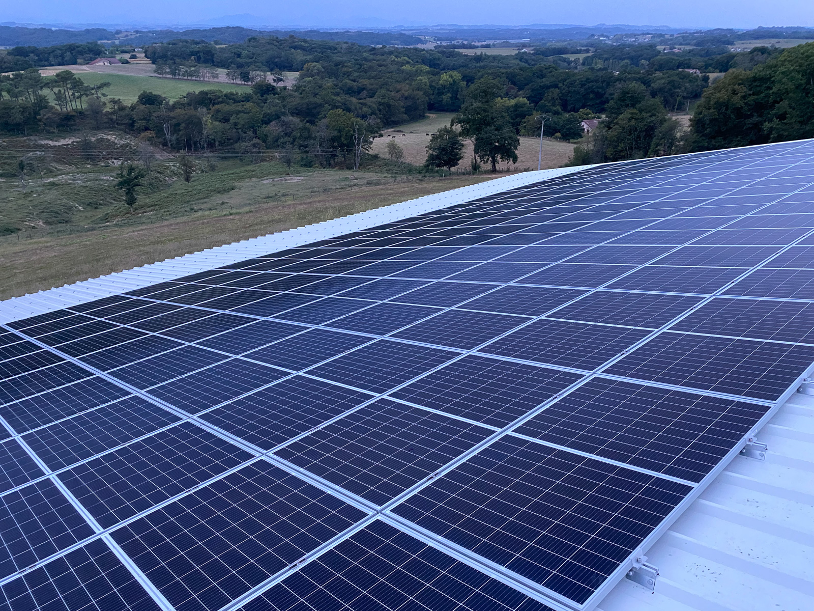 agrivoltaisme panneaux photovoltaïques 