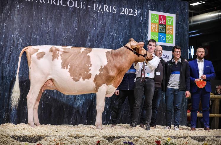 En 2024, une Holstein de la Somme avait décroché un premier prix au Concours général des animaux, au Sia.