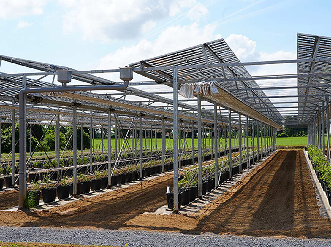 Le Campus Fruits Rouges permettra de tester de nouvelles variétés, de nouvelles protections pour les fruits rouges extrêmement fragiles et dépendants des aléas climatiques.