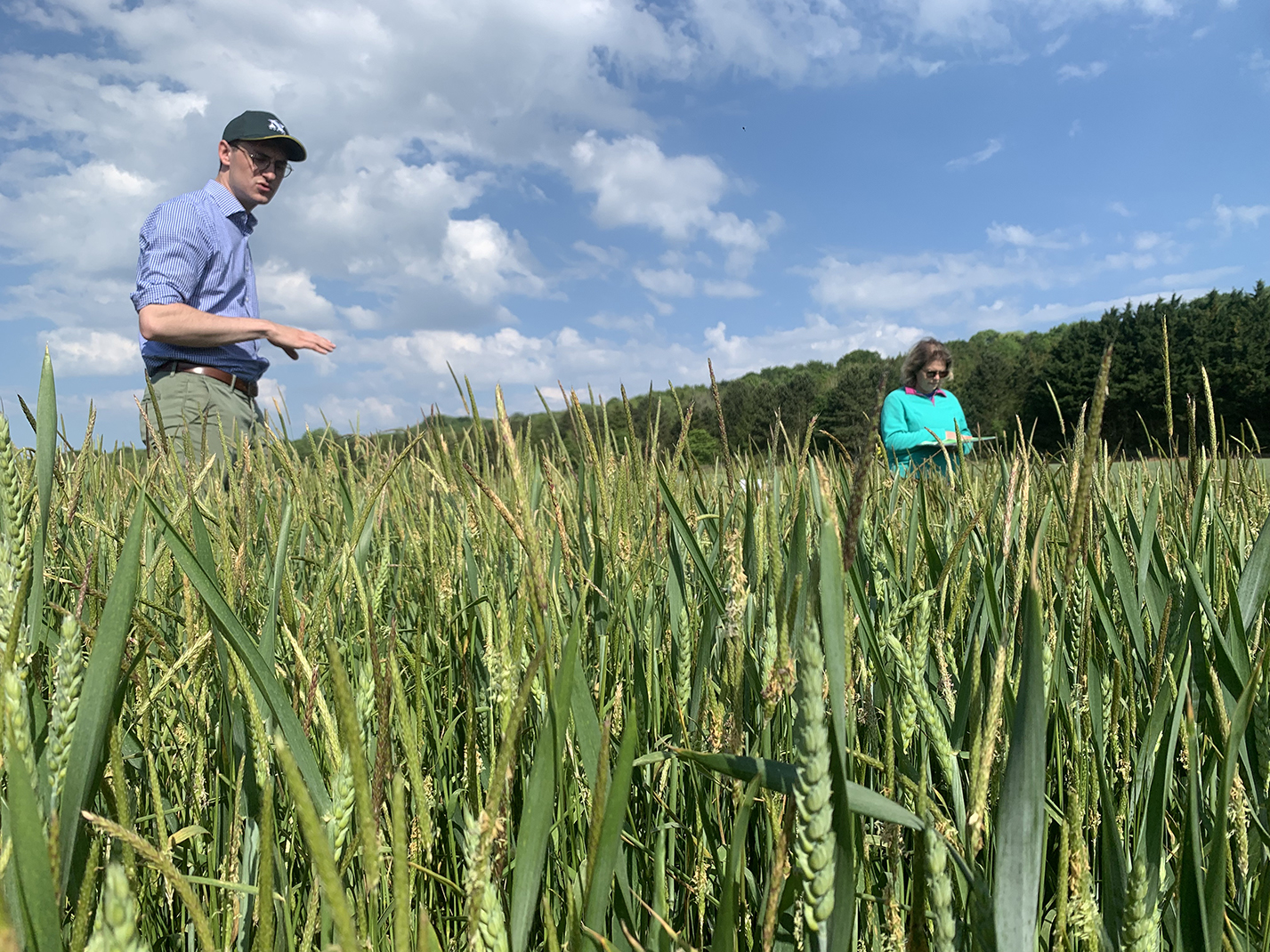 Quentin Denorme et Audrey Remont présentent des leviers agronomiques pour la gestion des vulpins : reculer la date  de semis et limiter la perturbation du sol permettent de réduire l’infestation. 
