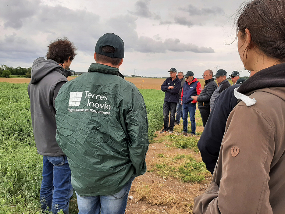 Le projet Protéi’sol consiste à mettre en place un collectif d’agriculteurs  pour «structurer la filière légumineuses à destination de l’alimentation animale  dans les Hauts-de-France» .
