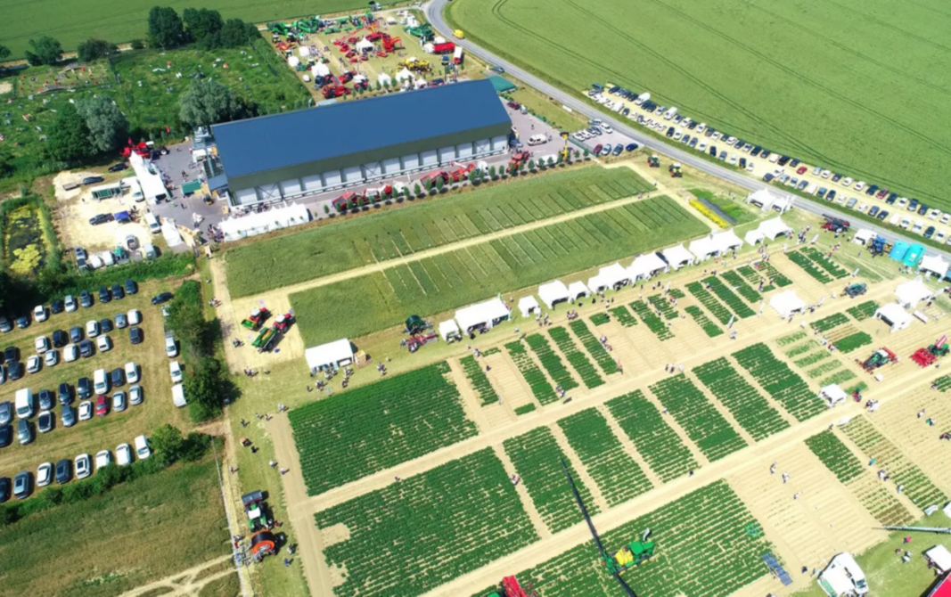 Qualipom événement pommes de terre 