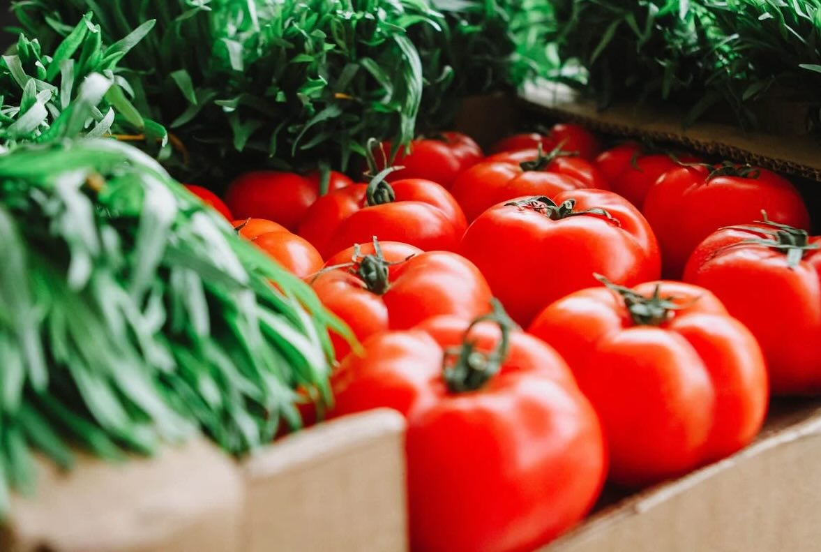 alimentation chaleur fruits et légumes de saison