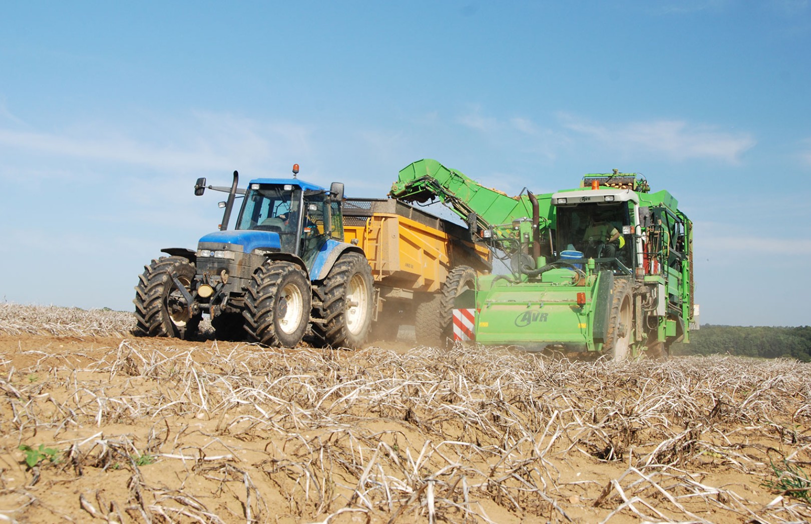 pommes de terre récolte UNPT record