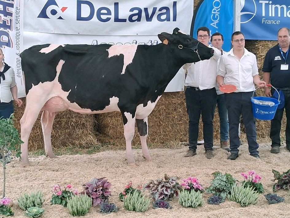 Vir’PHJ Tequiero (Hanans x Copycat), de la SCEA Popot, est la grande championne de Plaine en fête 2025. 