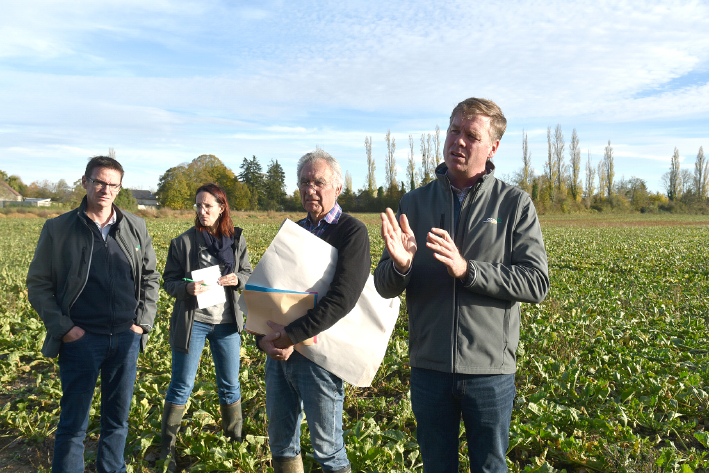 Courpalay, mardi 4 novembre. De g. à d., Cyrille Milard, Milène Grapperon, Jean-Philippe Garnot et Fabien Hamot  dans une parcelle présentant des ronds de jaunisse malgré différentes interventions.