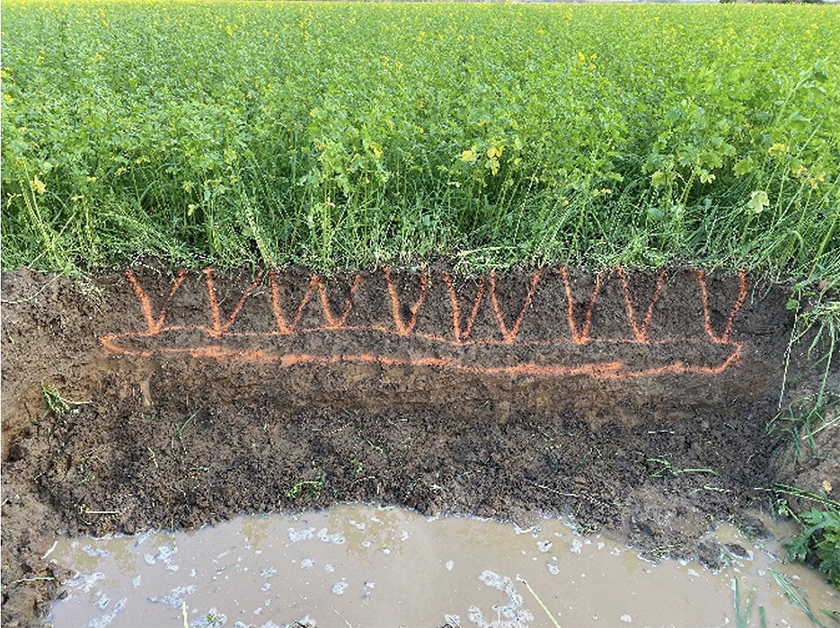 Couvert dans la modalité fissurée après semis.