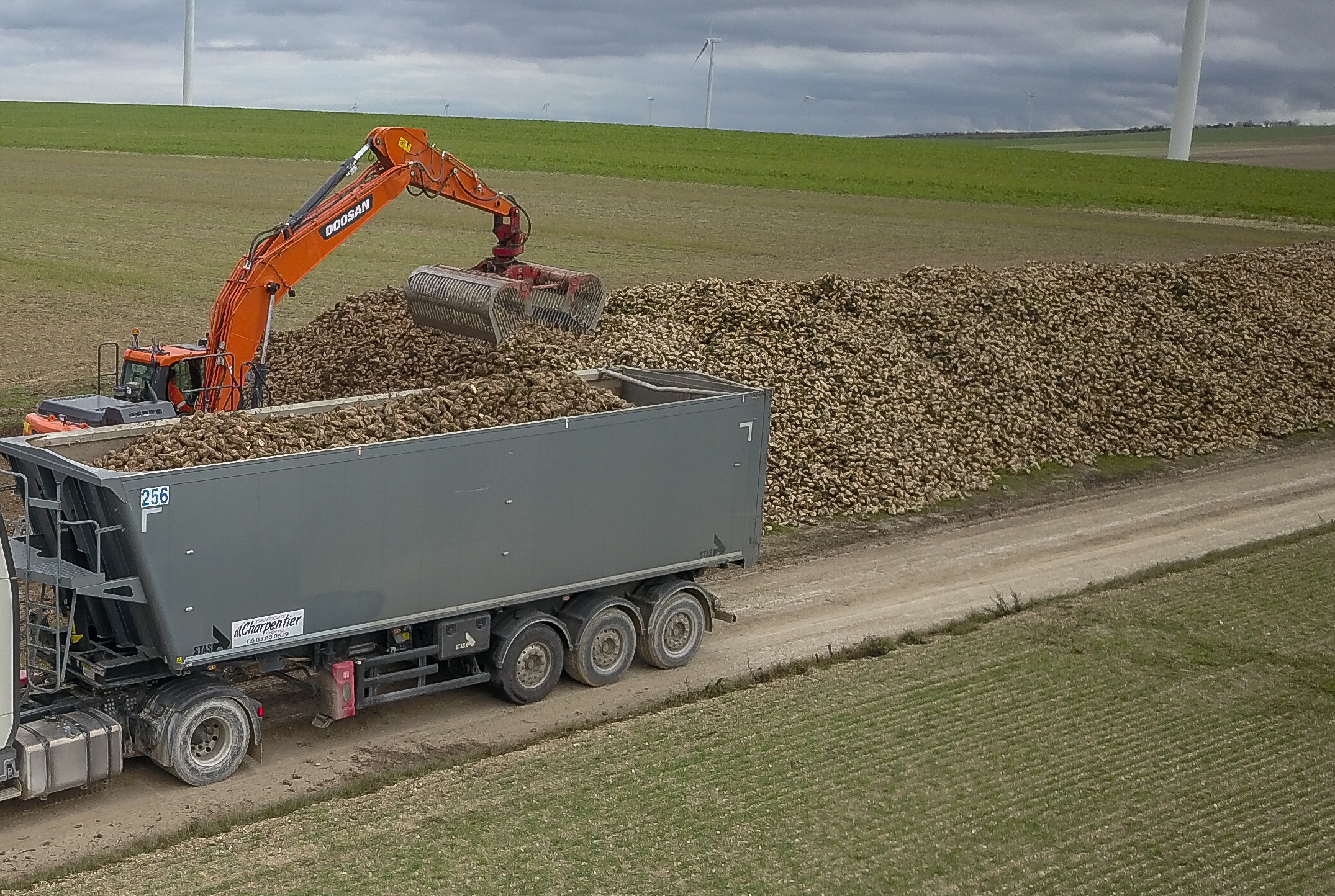 Tereos prix de betteraves campagne 2025-2026