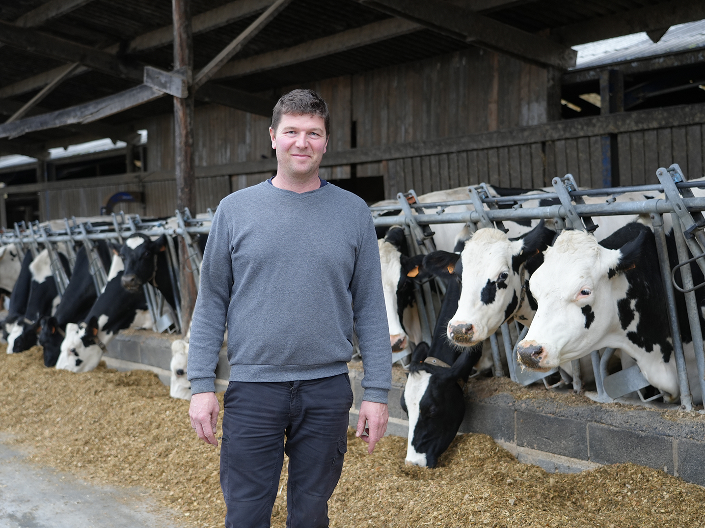 Remy Allonsius a trois priorités : la génétique, le bien-être animal et le bien-être de l’éleveur.