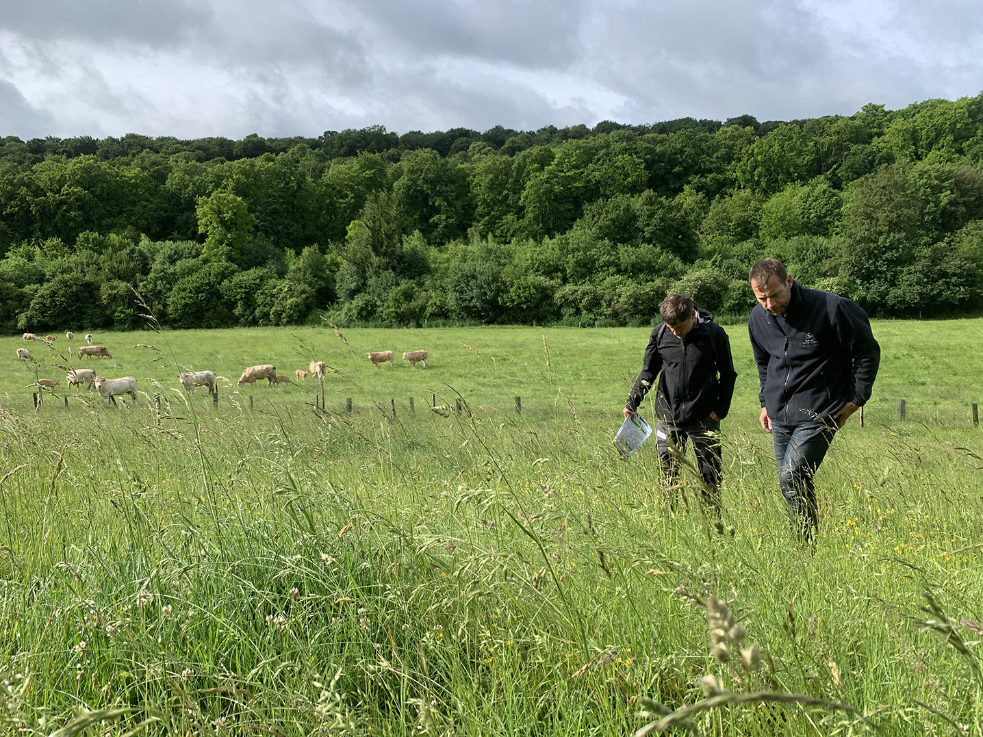 Les éleveurs du PMAZH bénéficient d’un accompagnement technique, notamment sur la gestion du pâturage. 