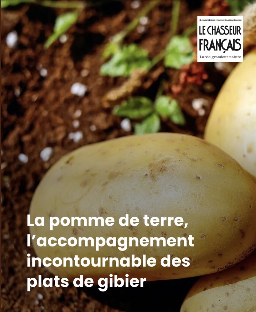 Article sur la pomme de terre et la cuisine du gibier dans Le Chasseur Français