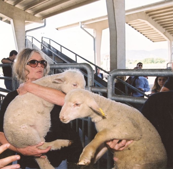 disparition de Brigitte Bardot