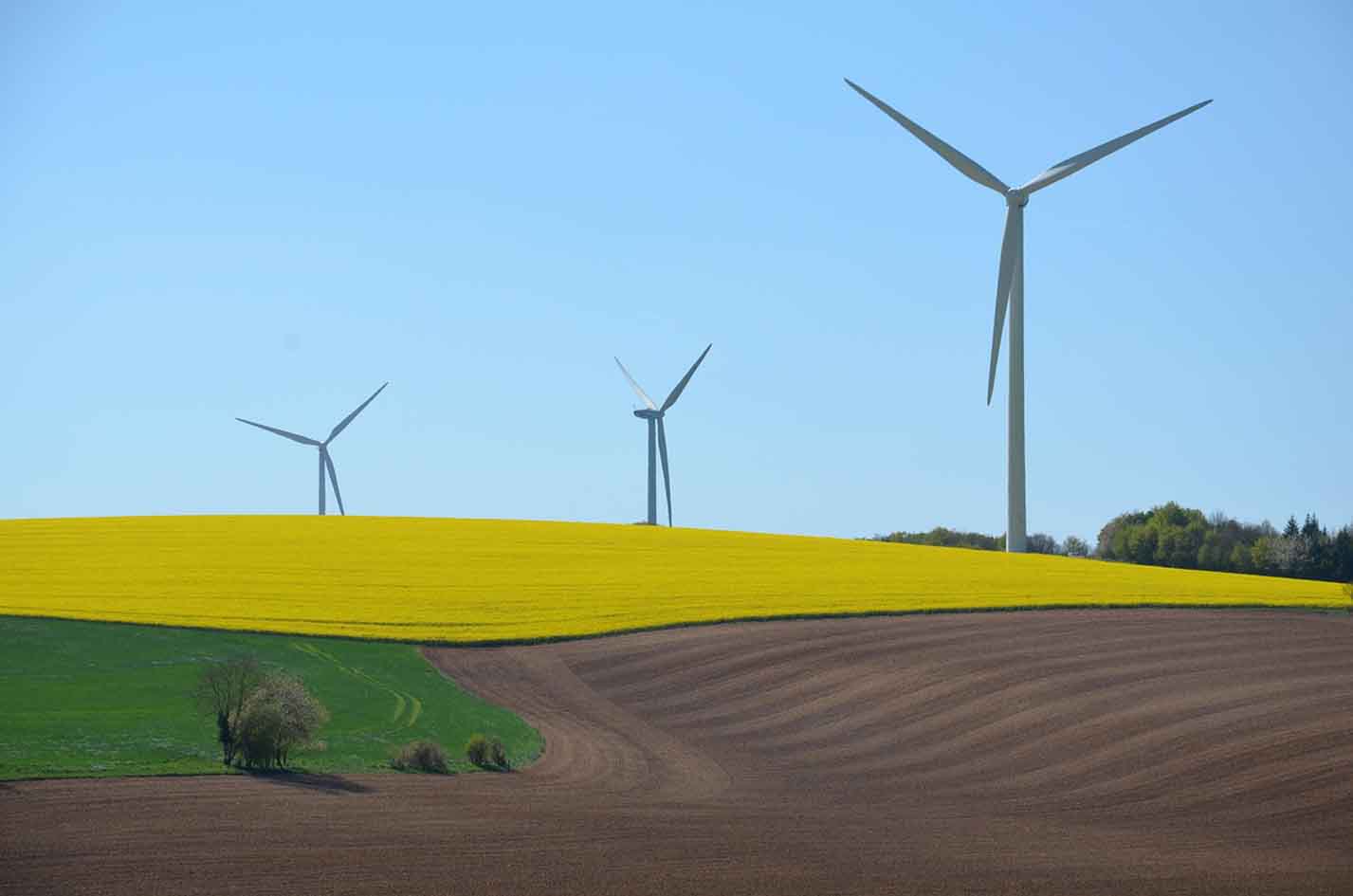 Les élus régionaux du groupe écologiste continuent de croire en le développement de l’éolien. 
