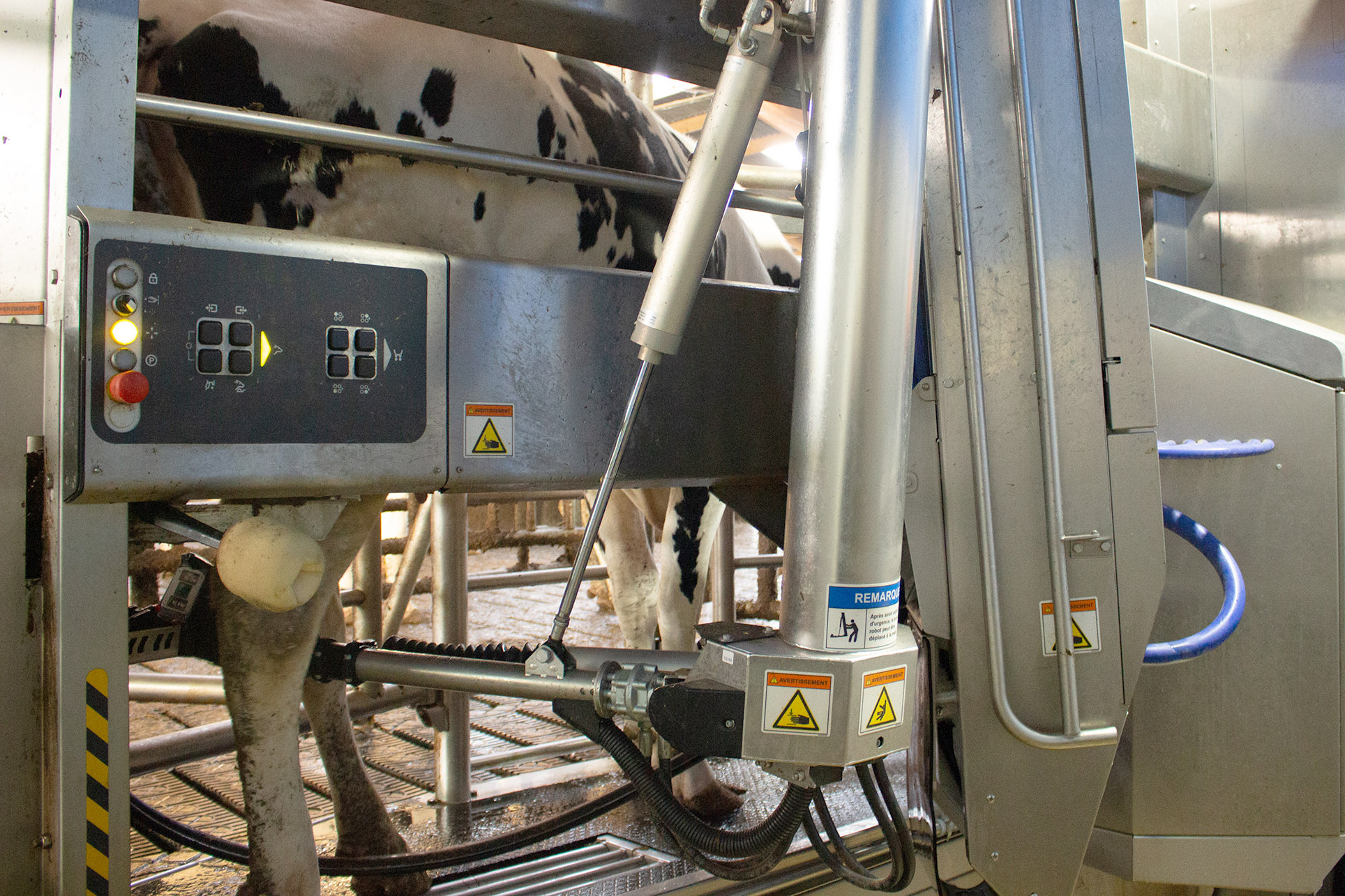 Avenir conseil élevage anime plusieurs groupes d’éleveurs, équipés de robot ou non, qui visent des performances élevées tout en maîtrisant les coûts de production. 