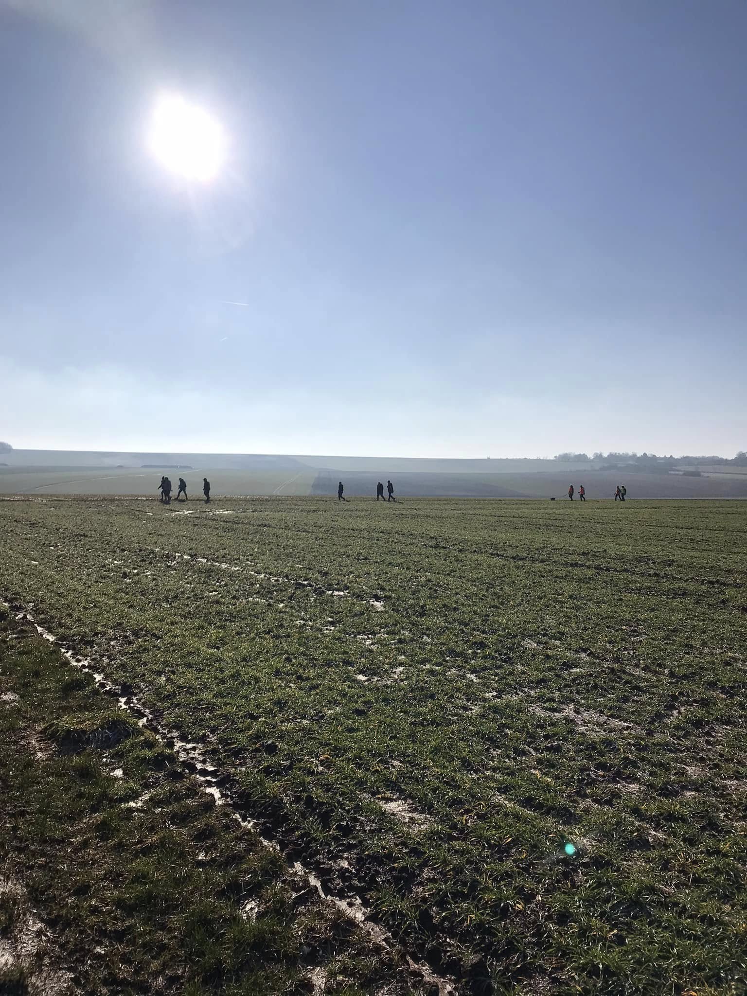 Flers-sur-Noye plantation haies