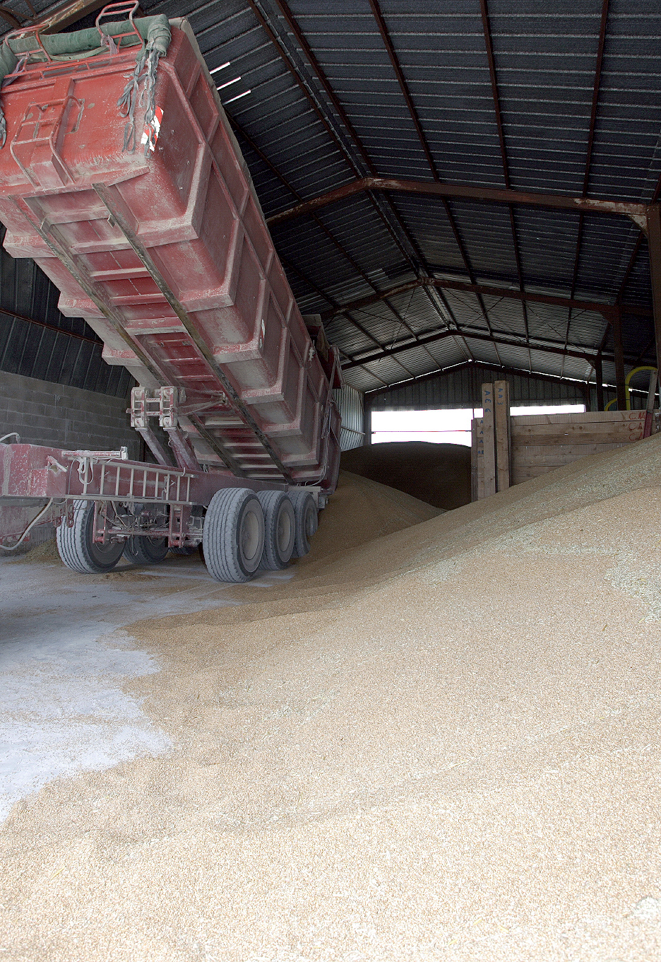 La collecte de céréales progresse, mais la filière biologique reste marginale  en volume.