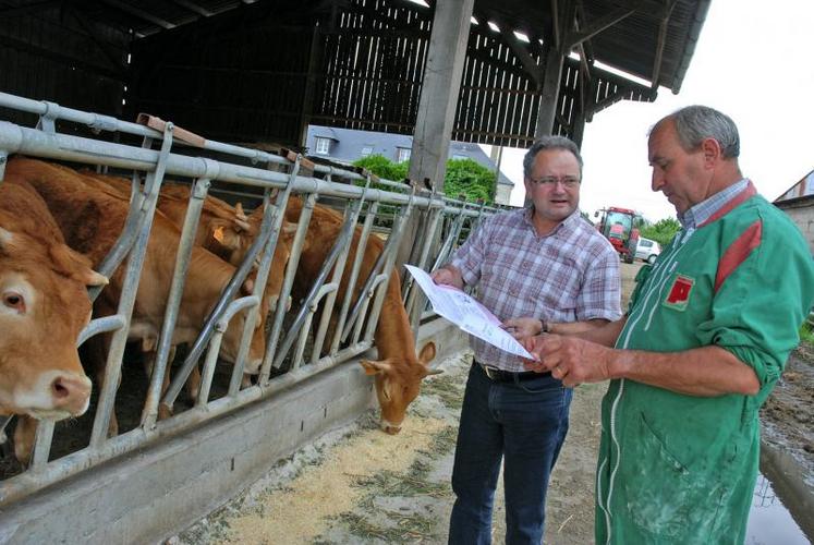 tuberculose bovine santé animale