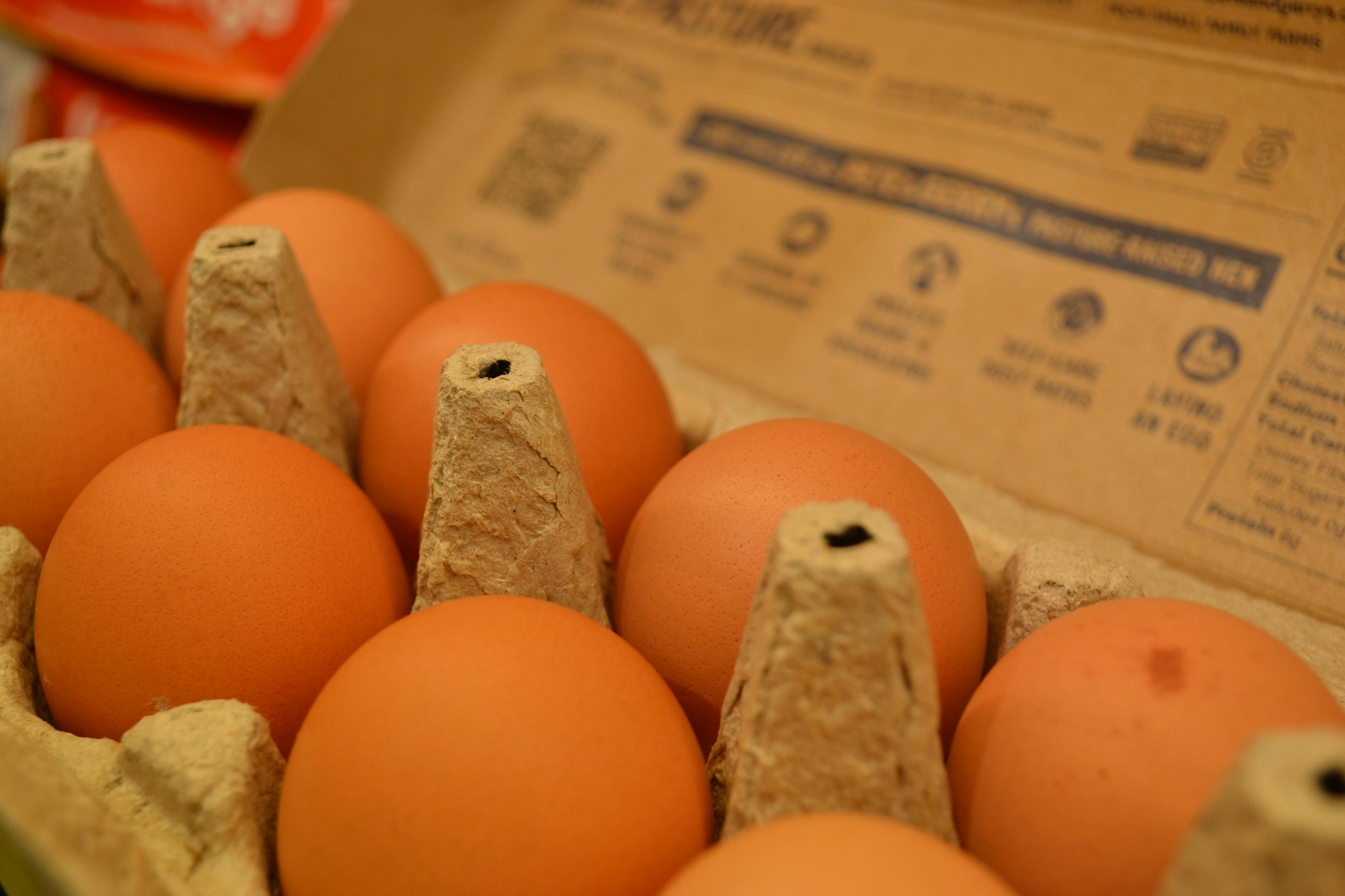 oeufs rupture consommation pénurie