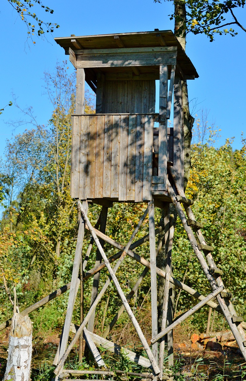 chasse en Allemagne et record du nombre de chasseurs 