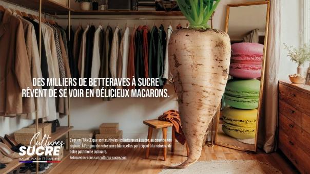 Culture Sucre et campagne de pub pour la betterave à sucre