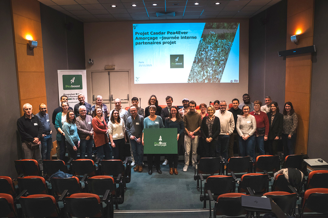 Séminaire du projet Pea4Ever à Paris le 25 novembre avec ses partenaires.