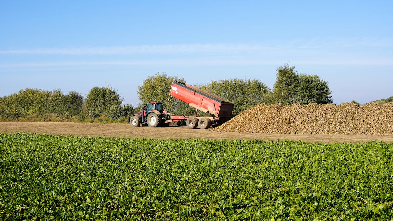 régime de perfectionnement actif