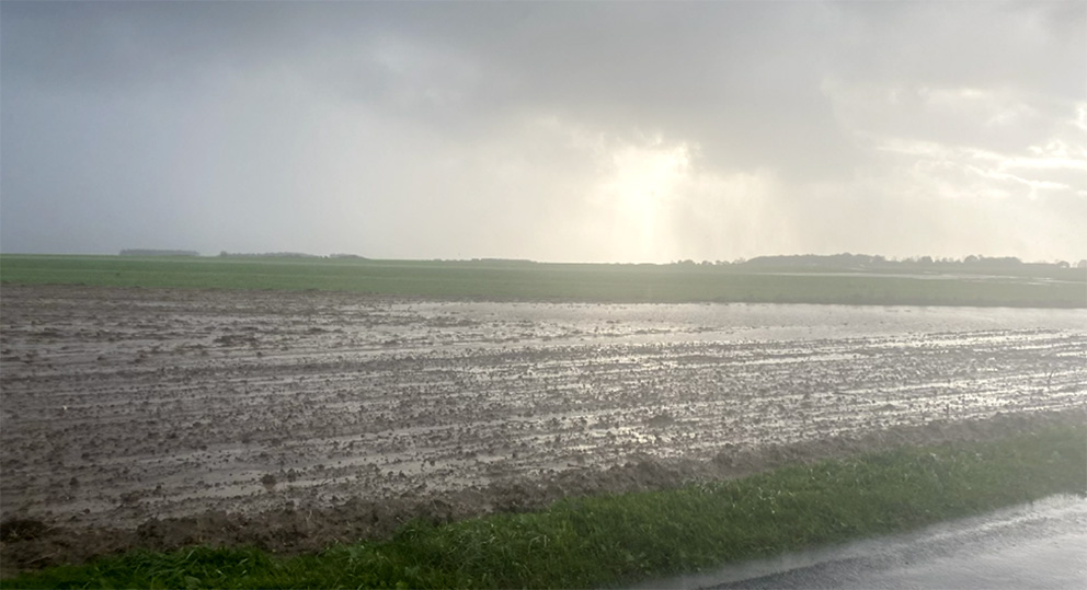 Malgré une majorité des semis réalisés en «bonnes conditions», le fait marquant reste la pluviométrie exceptionnelle : avec plus de 150 mm relevés sur le secteur d’Abbeville en octobre.
