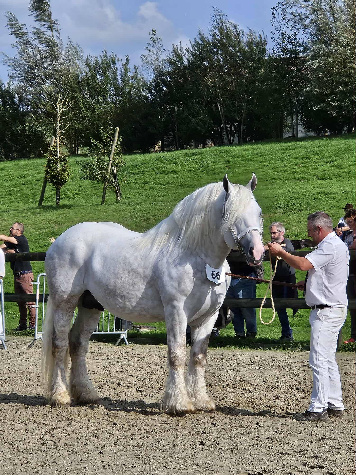 Au moment d’emmener son cheval,  il a une pensée pour son père,  qui lui a transmis la passion. 