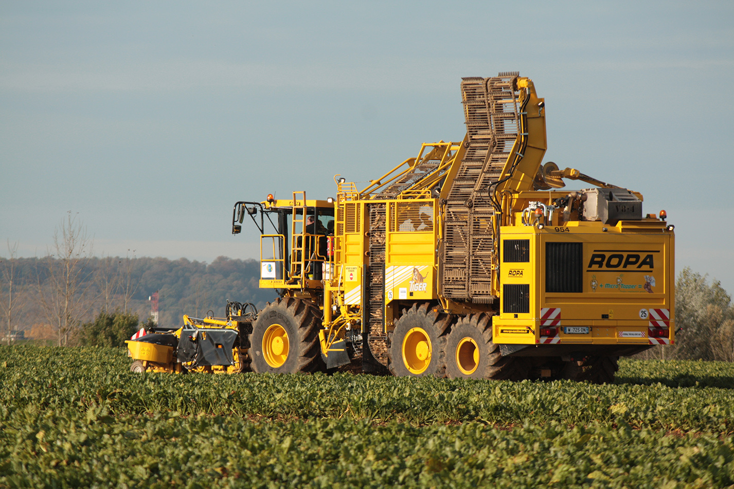Dans la Somme, le rendement est de 96 t/ha à 16°, ce qui le situe au-dessus du rendement national (91 t/ha à 16°), derrière le rendement constaté en Seine-Maritime (103 t/ha à 16°) et dans le Nord-Pas-de-Calais (100 t/ha à 16°) et devant les autres départements producteurs. 
