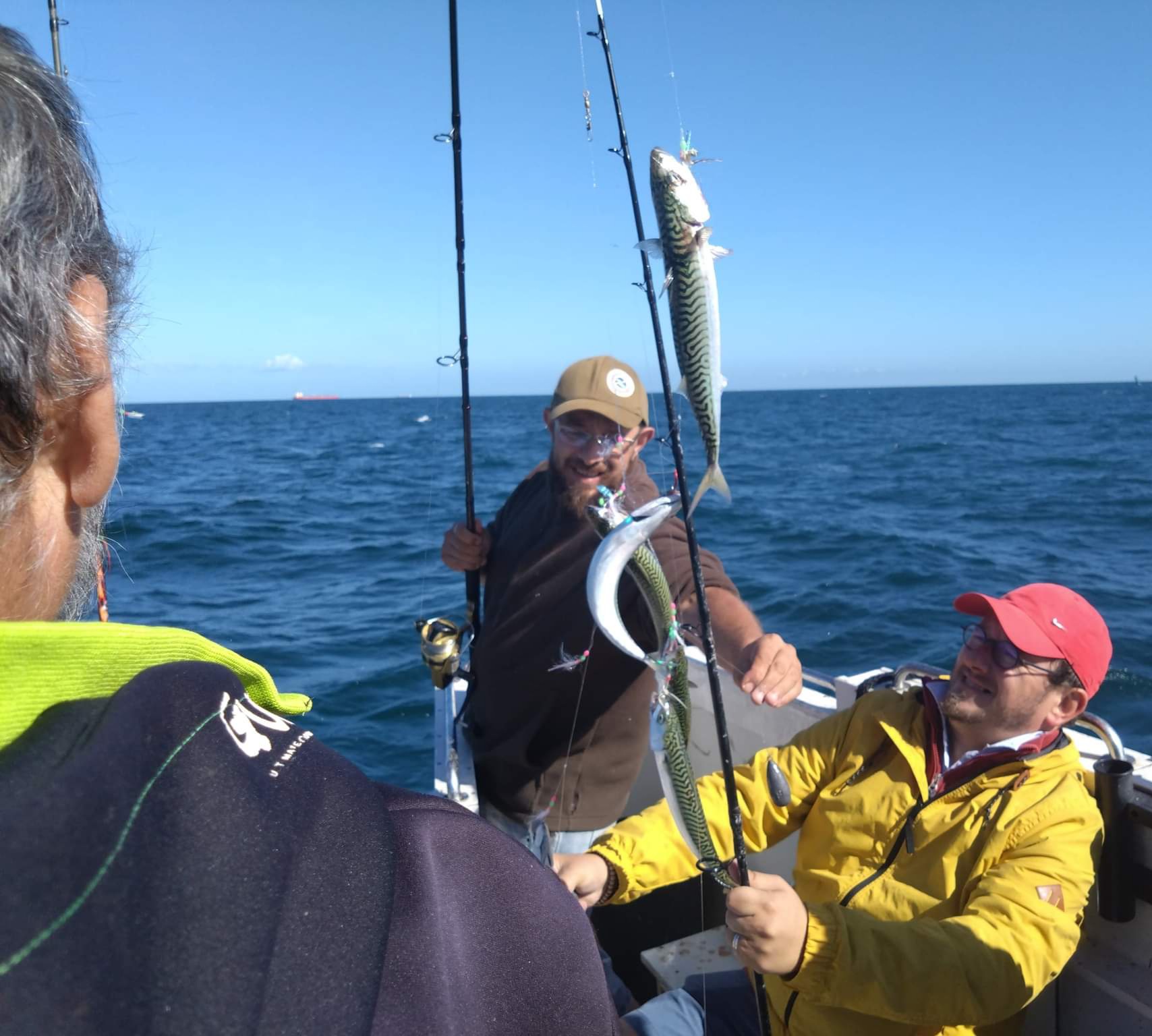 quota sur la pêche du maquereau