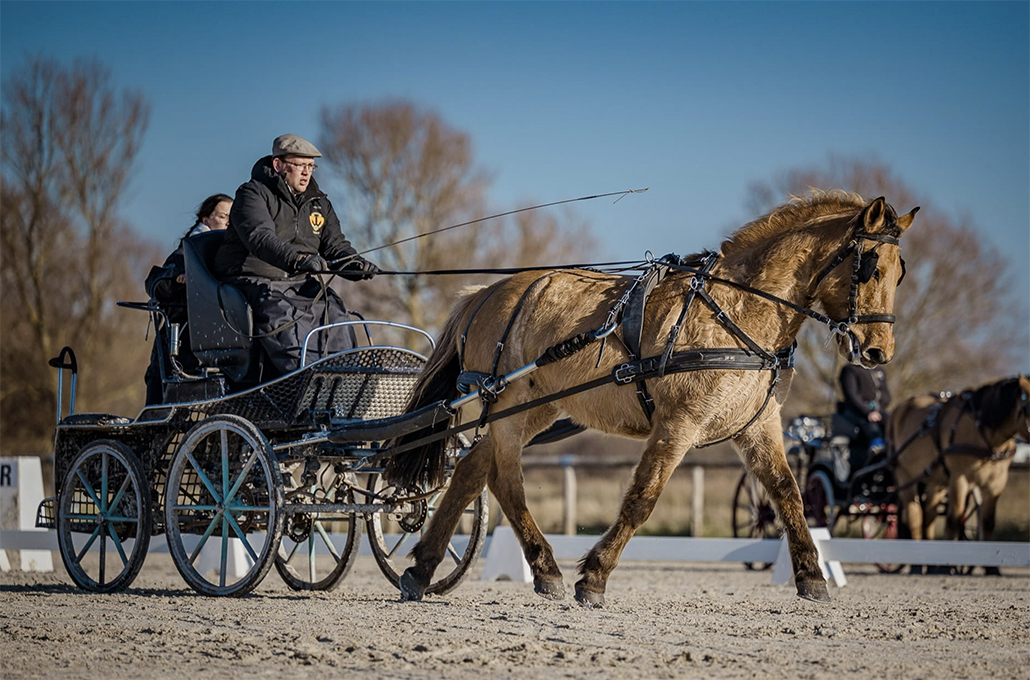 Gaylord Franqueville et Harley de Henson défendront les couleurs  de la Baie de Somme lors du concours des chevaux des territoires. 
