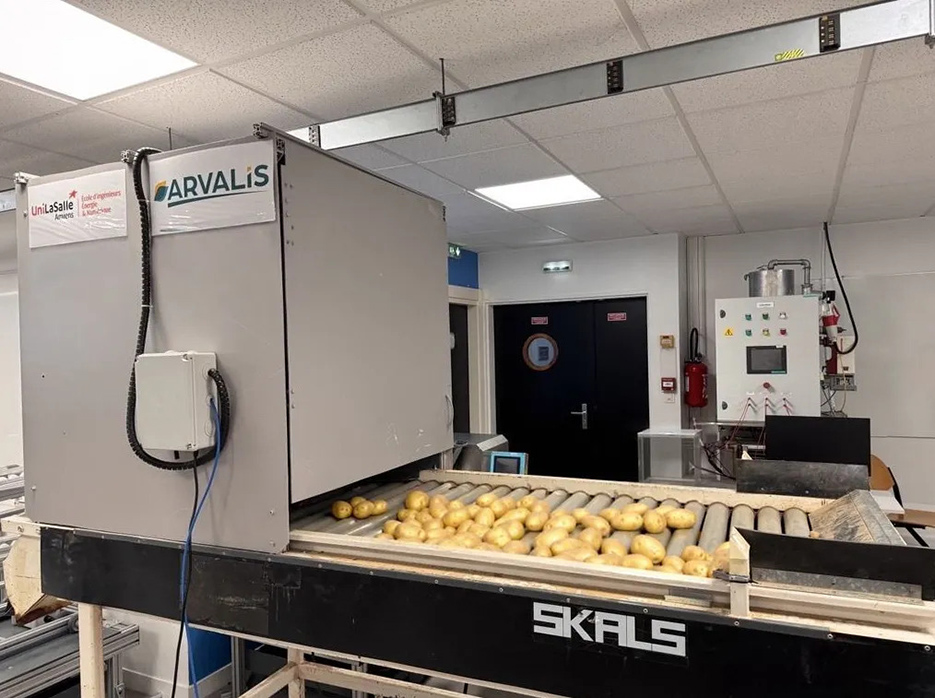 Le prototype créé par les étudiants d’UniLasalle Amiens permet de compter  et trier sans intervention humaine les tubercules de pommes de terre.